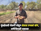 मुंबईतील नोकरी सोडून केली शेती,युवा शेतकऱ्याचं पिवळं सोनं थेट अमेरिकेच्या कंपनीत