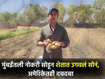मुंबईतील नोकरी सोडून केली शेती,युवा शेतकऱ्याचं पिवळं सोनं थेट अमेरिकेच्या कंपनीत