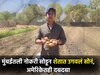 मुंबईतील नोकरी सोडून केली शेती,युवा शेतकऱ्याचं पिवळं सोनं थेट अमेरिकेच्या कंपनीत