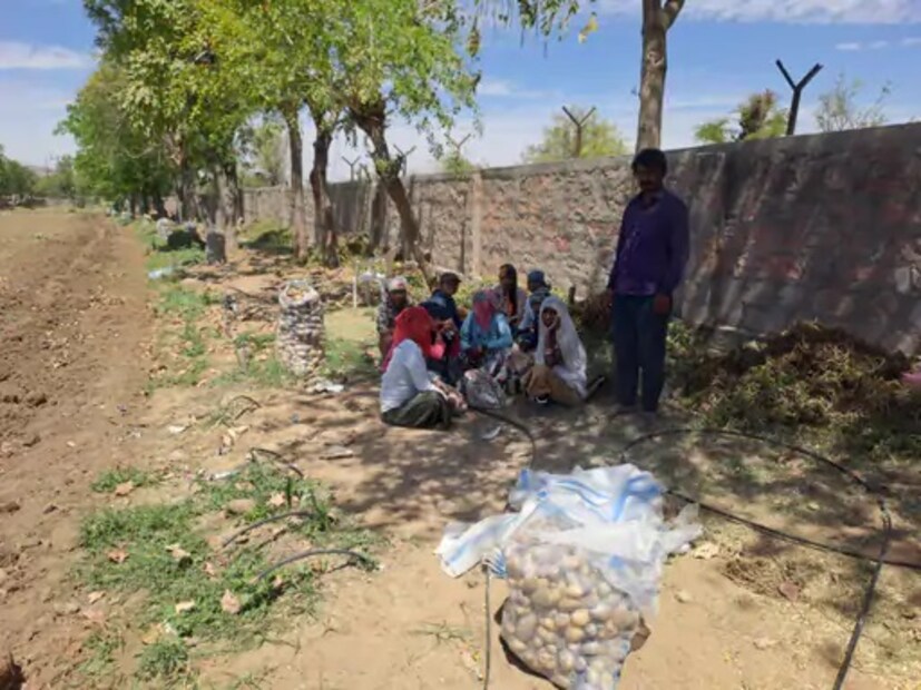 प्रियांकच्या वडिलांना वाटत होते की मुलाने मोठा व्यवसाय करावा. प्रियांक मुंबईत डिजिटल मार्केटिंगची चांगली नोकरी करत होता, पण त्याने आपली दिशा बदलण्याचा निर्णय घेतला. त्याने शेतीला आपले नवीन करिअर म्हणून निवडले.