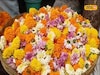 दिवाळीसाठी 'दादर फुल मार्केट' हाऊसफुल्ल!  खरेदीचा उत्साह शिगेला, पण फुलांचे दर ऐकून तुम्हाला बसेल धक्का Video
