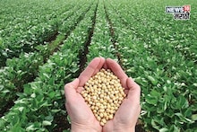 सोयाबीन विक्रीसाठी शेतकऱ्यांसाठी नवीन नियम! हे काम करणे असणार बंधनकारक