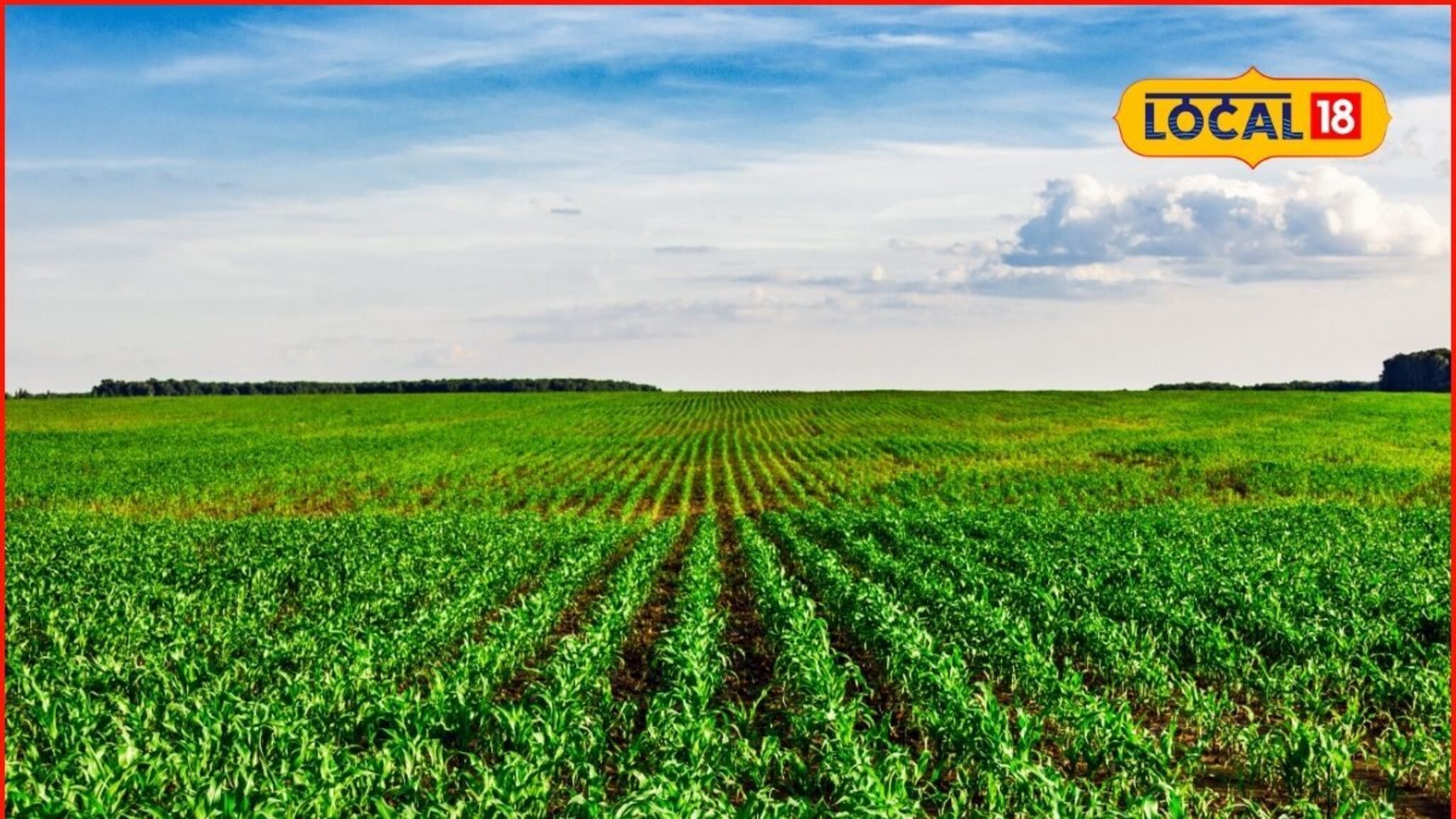 Rabi Season Crops : हिवाळ्यात घ्या ही पिके, कमी कालावधीमध्ये मिळेल नफाच नफा, संपूर्ण माहितीचा Video