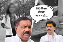 '250 दिवस बोलता आलं नाही आणि आता...', डॉक्टर प्रकरणावरून सुरेश धसांनी धनंजय मुंडेंना सुनावलं; वाद चिघळला