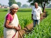 आधी अत्याचार, मग दगडाने ठेचलं, भिवंडीत नराधमाच वृद्ध महिलेसोबत राक्षसी कृत्य