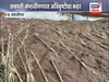 हजारो हेक्टर पीक वाहून गेलं... वैजापूरच्या शेतकऱ्यांचा आक्रोश