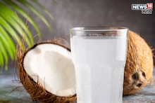 Health : रोज की आठवड्यातून 4 वेळा, किती प्यावं नारळ पाणी? हेल्दी राहण्यासाठी काय आहे बेस्ट जाणून घ्या
