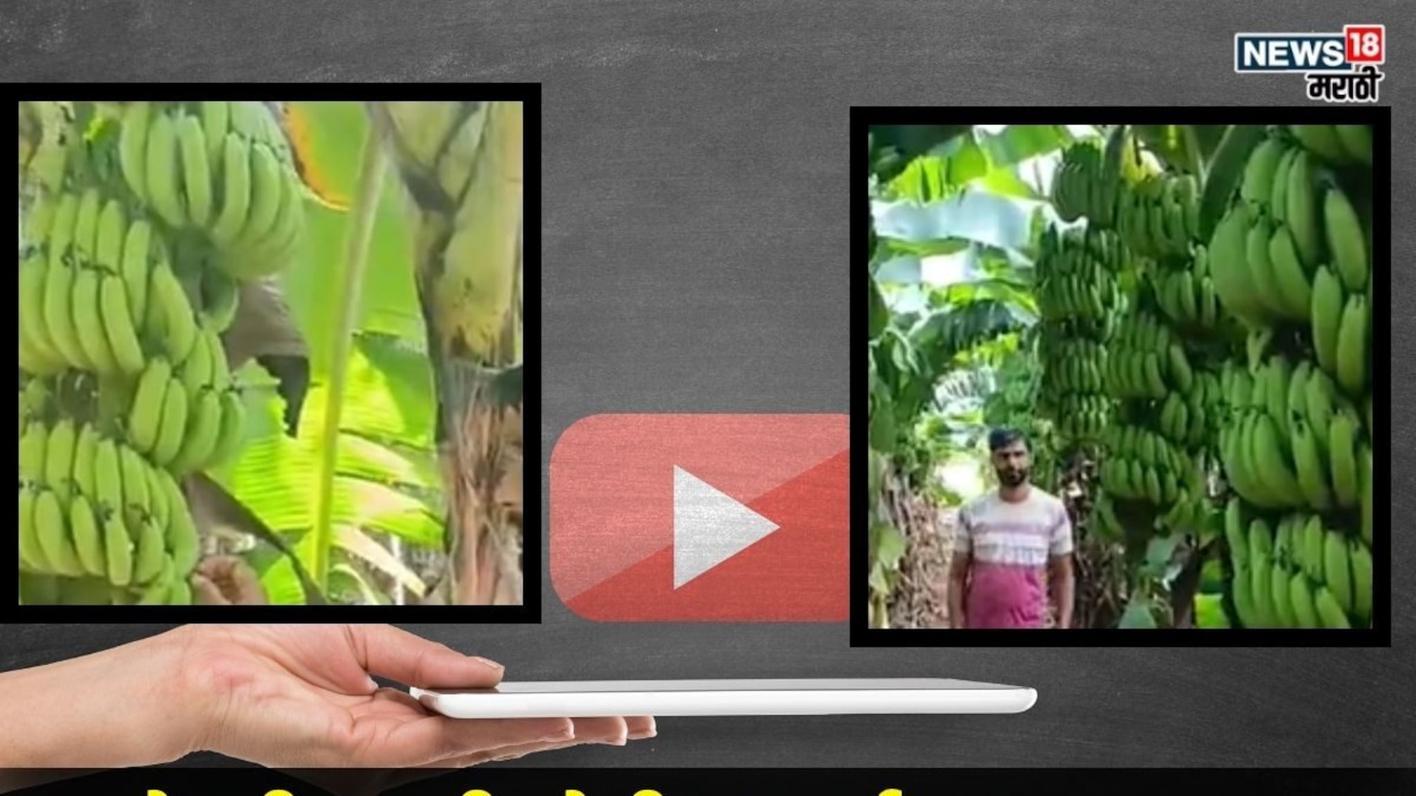 बारावी नापास... पण शेतीत पास रवींद्र घाटे! YouTube "गुरु'च्या" मदतीने ५ लाखांची छप्परफाड कमाई