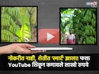 बारावी नापास, पण शेतीत पास रवींद्र घाटे! YouTube गुरुच्या" मदतीने ५ लाखांची कमाई