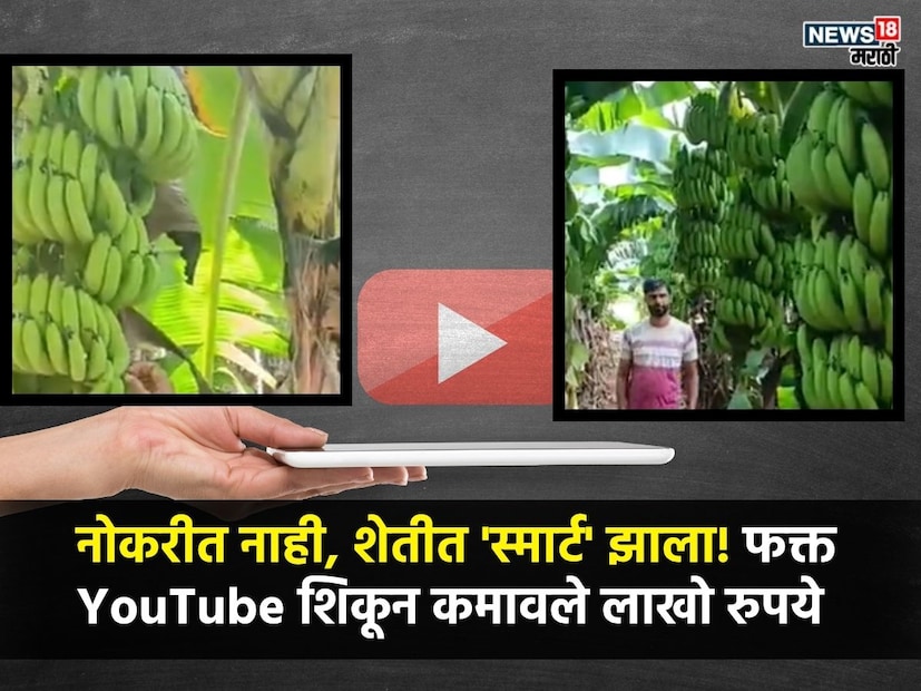 संत्र आणि कपाशीसाठी प्रसिद्ध असलेल्या गावात चक्क शेतकऱ्याने वेगळा प्रयोग करुन पाहिला. कपाशीसोबत असं पिक घेतलं की जे 12 ही महिने बाजारात खपतं, त्याची मागणी असते. त्याने घाम गाळून बाग उभी केली आणि त्यातून 5 लाखांपर्यंत नफाही कमावला, ही गोष्ट युवा शेतकरी रवींद्र घाटे याची, याचा शेतीमधील आदर्श प्रत्येक युवा शेतकऱ्याने आणि तरुणांनी घ्यायला हवा. नोकरी करुन कमी पैशात राबण्यापेक्षा त्याने जे डोकं लावलं त्यामुळे आज तो लाखो रुपये कमावत आहे. 