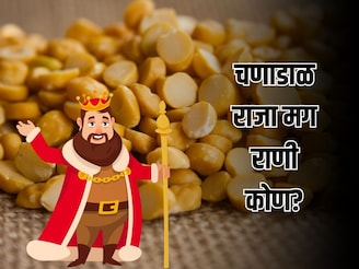 डाळींचा राजा चना मग राणी कोण? किचनशी संबंधीत 'ही' गोष्ट तुम्हाला माहितच नसणार