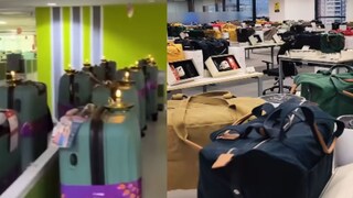 व्हायरल व्हिडीओ