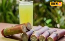  Sugarcane juice : उन्हामुळे अंगाची लाही लाही, थंडावा मिळण्यासाठी उसाचा रस पिताय? आधी हे वाचा Video
