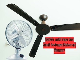 सिलिंग आणि टेबल फॅन उलट का फिरतात? दोघेही हवा देतात, मग फिरण्याची दिशा वेगळी का?