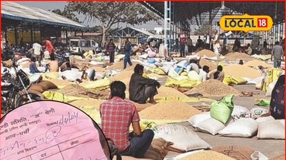 शेतकऱ्यांनो, विमा, अनुदान, कर्जमाफी सगळं मिळणार, पण शेतमाल विकताना ‘ही’ पावती घेतली तर... शेतकऱ्यांनो, विमा, अनुदान, कर्जमाफी सगळं मिळणार, पण शेतमाल विकताना ‘ही’ पावती घेतली तर...