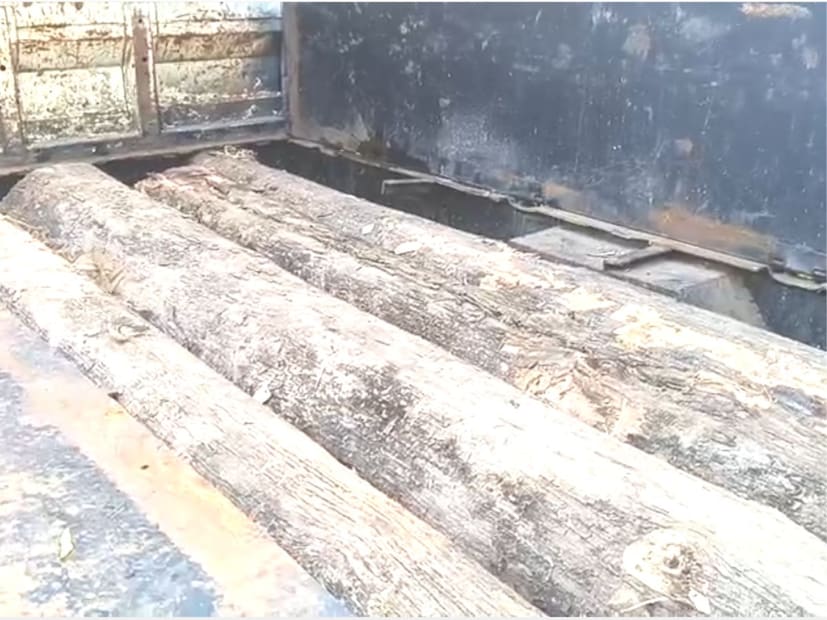 ही बाब समोर आल्यानंतर या वन कर्मचाऱ्याला निलंबित करण्यात आलं असून आता या प्रकरणाची सविस्तर चौकशी सुरू झाल्याने यात अनेकांचा सहभाग उघड होण्याची शक्यता आहे.