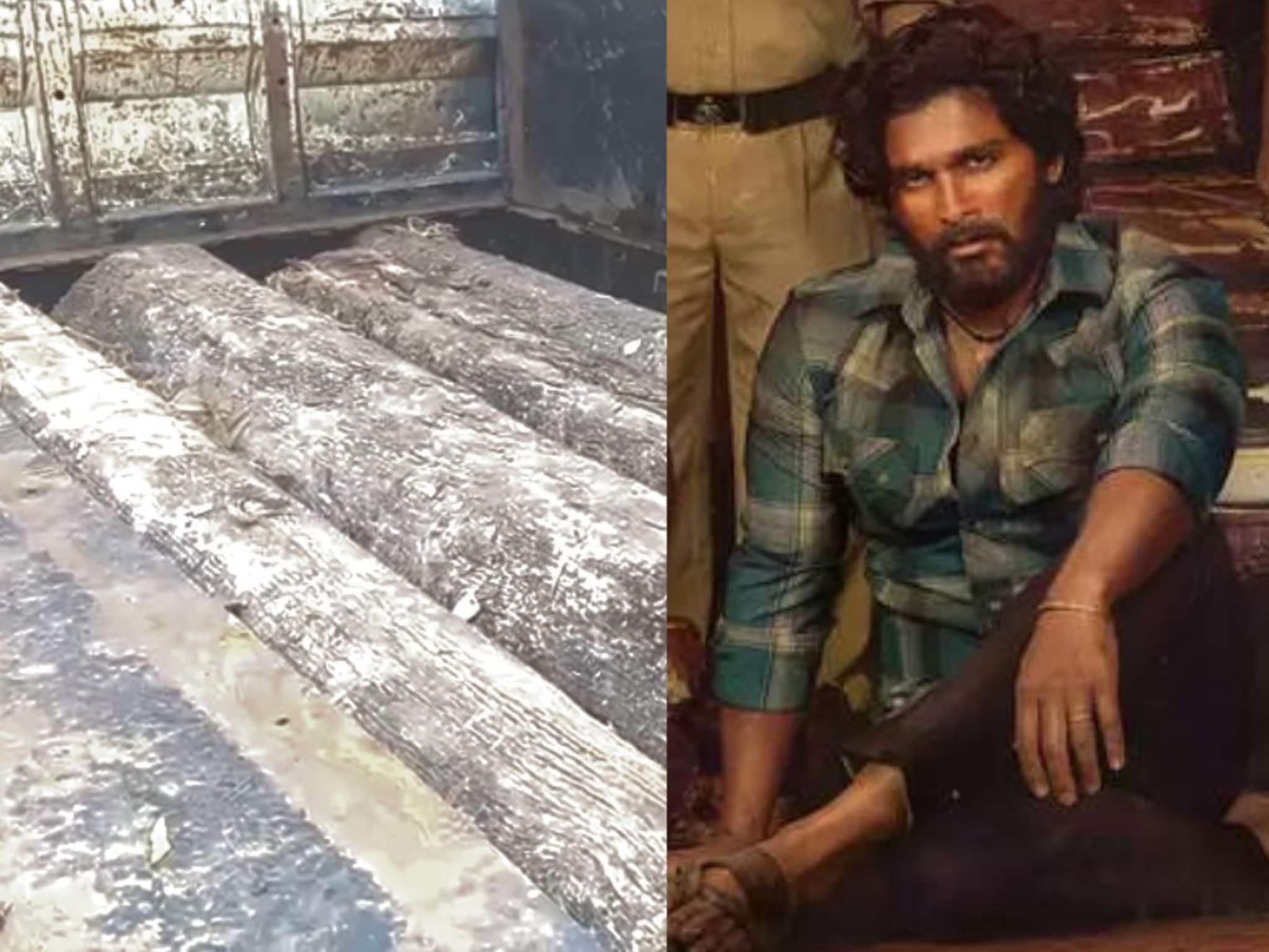 सेम पुष्पा सिनेमासारखी तस्करी, वनविभागाचा कर्मचारीच झाला सामील, गडचिरोलीच्या जंगलात मोठं कांड PHOTOS
