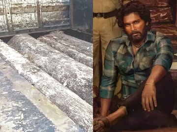 सेम पुष्पा सिनेमासारखी तस्करी, गडचिरोलीच्या जंगलात मोठं कांड PHOTOS सेम पुष्पा सिनेमासारखी तस्करी, गडचिरोलीच्या जंगलात मोठं कांड PHOTOS