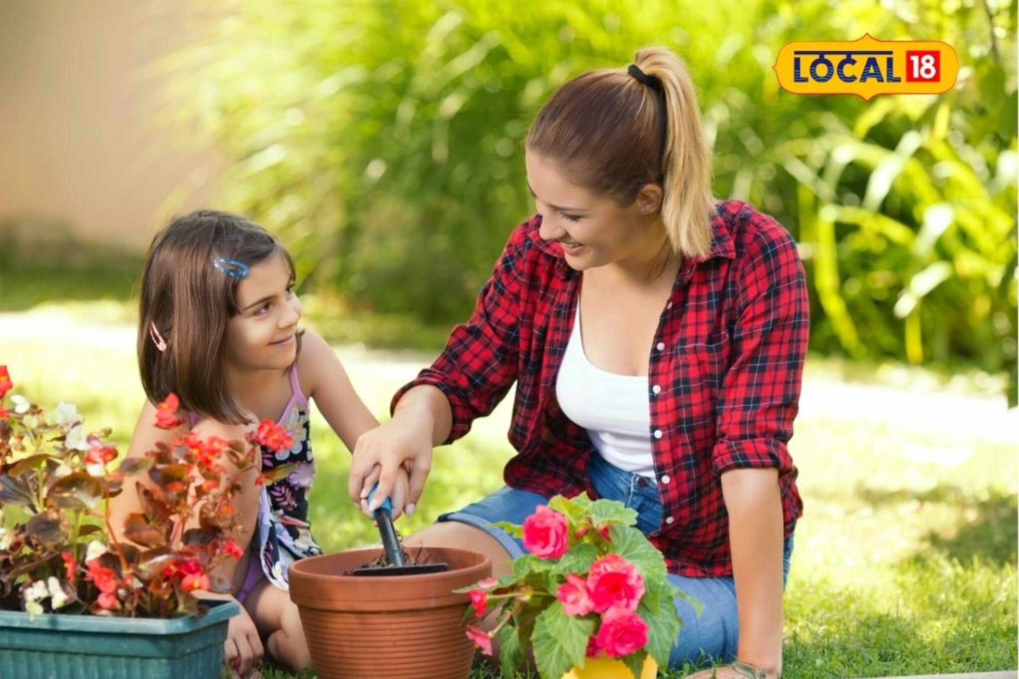 Gardening Tips: घर-अंगणात येईल सुगंधी बहार! आजच लावा ही 5 फुलझाडे, 12 महिने राहाल फ्रेश!