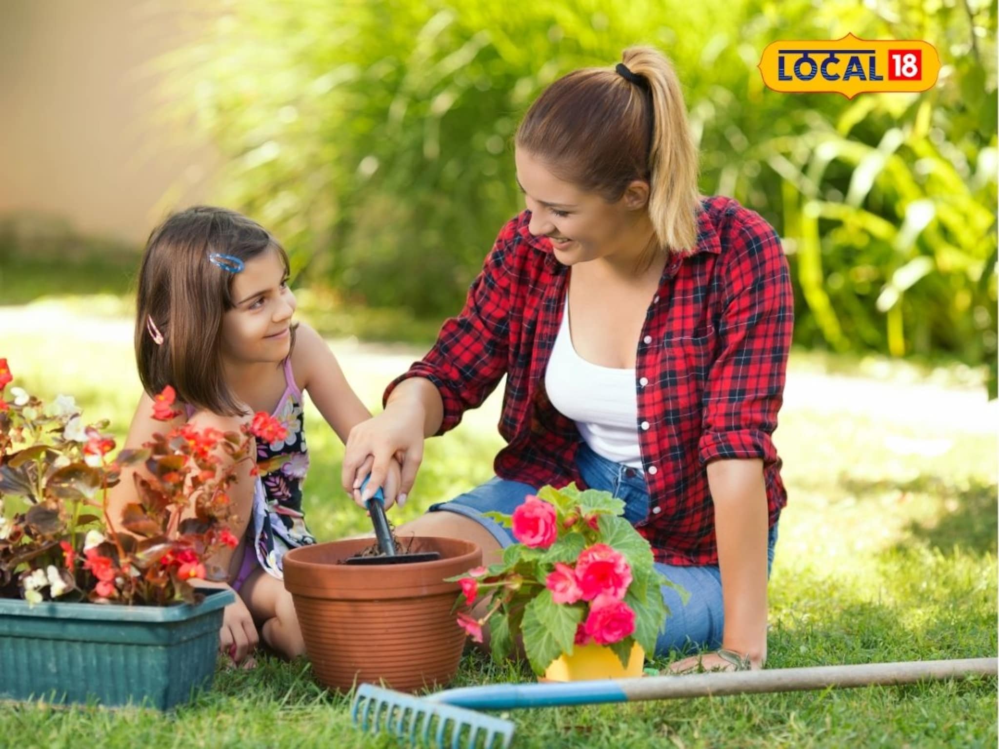 Gardening Tips: घर-अंगणात येईल सुगंधी बहार! आजच लावा ही 5 फुलझाडे, 12 महिने राहाल फ्रेश!