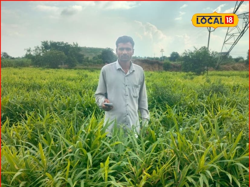केवळ दोनच एकरात 550 क्विंटल एवढे विक्रमी उत्पादन त्यांना मिळाले आहे. त्यांच्या अद्रकीला तीन हजार पाचशे रुपये एवढा दर मिळाला. केवळ दोन एकरामध्ये 15 ते 16 लाखांचे उत्पन्न त्यांच्या हाती आले आहे.