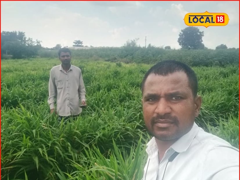 रामेश्वर चंद यांनी दोन वर्षांपूर्वी घाणेवाडी जलाशयातील गाळ आपल्या शेतामध्ये टाकला होता. याच शेतामध्ये त्यांनी दोन एकर क्षेत्रात जून महिन्यात अद्रकीची लागवड केली.