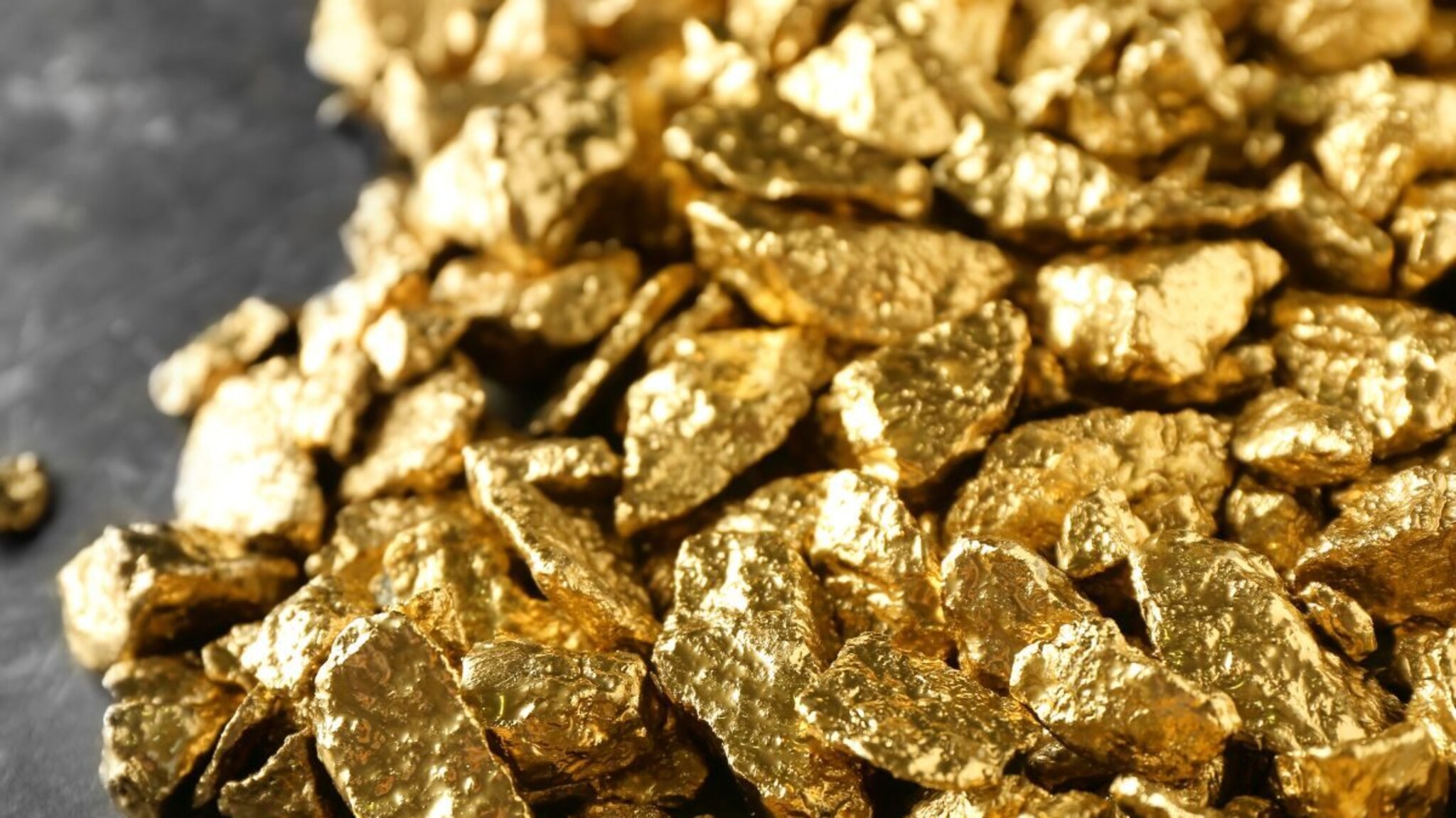 सोनं खरेदीचा विचार करताय? मग आधी अमेरिकेतून आलेली ही बातमी नक्की वाचा