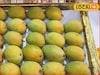 Hapus Rate: फळांचा राजा ऑक्टोबर महिन्यातच बाजारात, मुंबईत हापूसचा भाव काय?