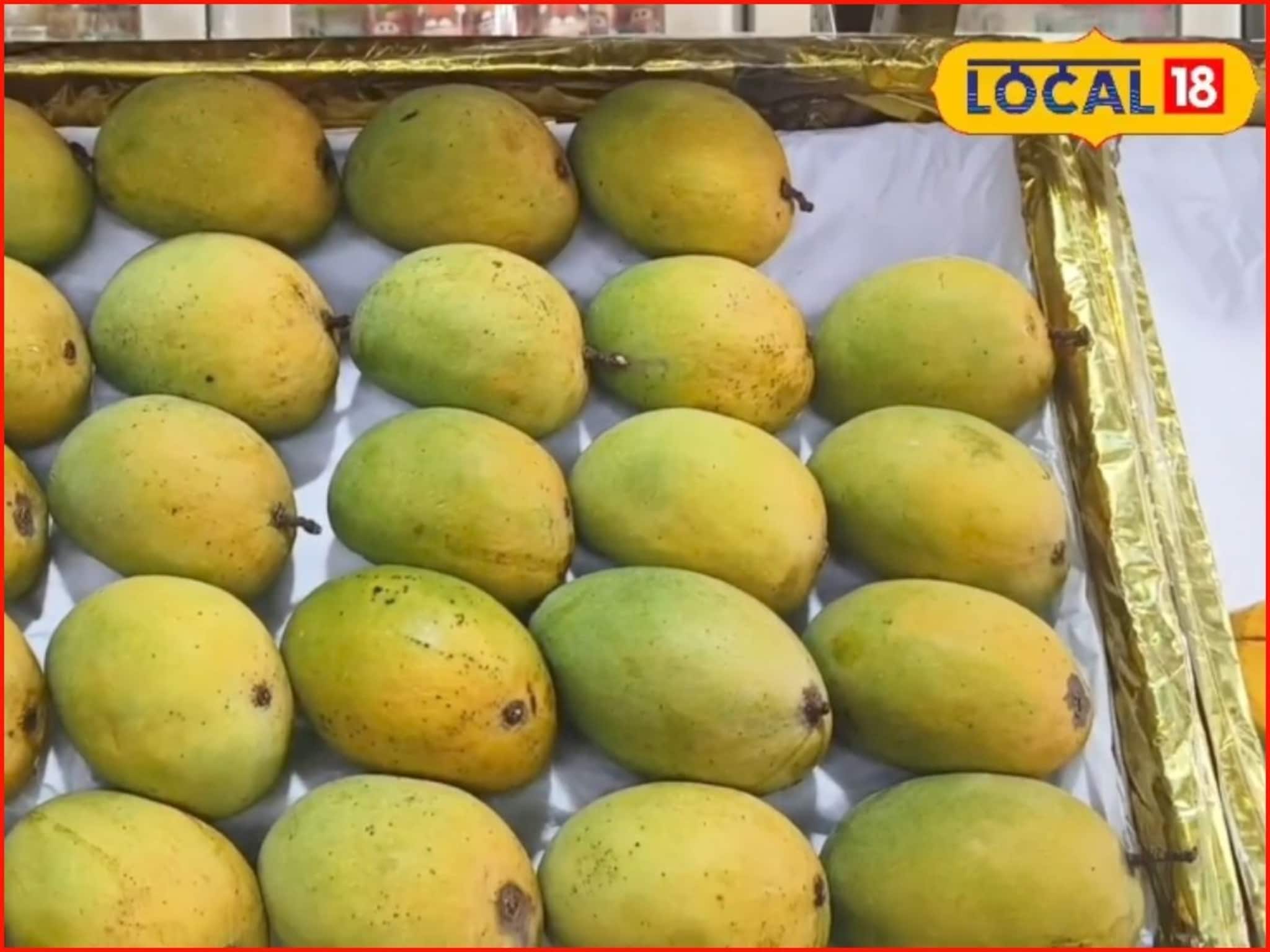 Hapus Rate: फळांचा राजा ऑक्टोबर महिन्यातच बाजारात, मुंबईत हापूसचा भाव काय?