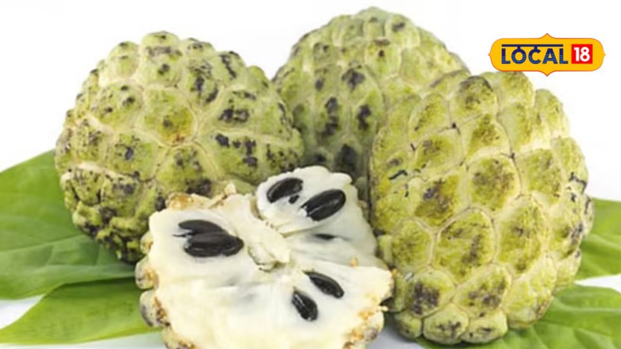 Health Tips : सीताफळ आले बाजारात, फायदे ऐकाल तर लगेच घ्याल विकत! Video