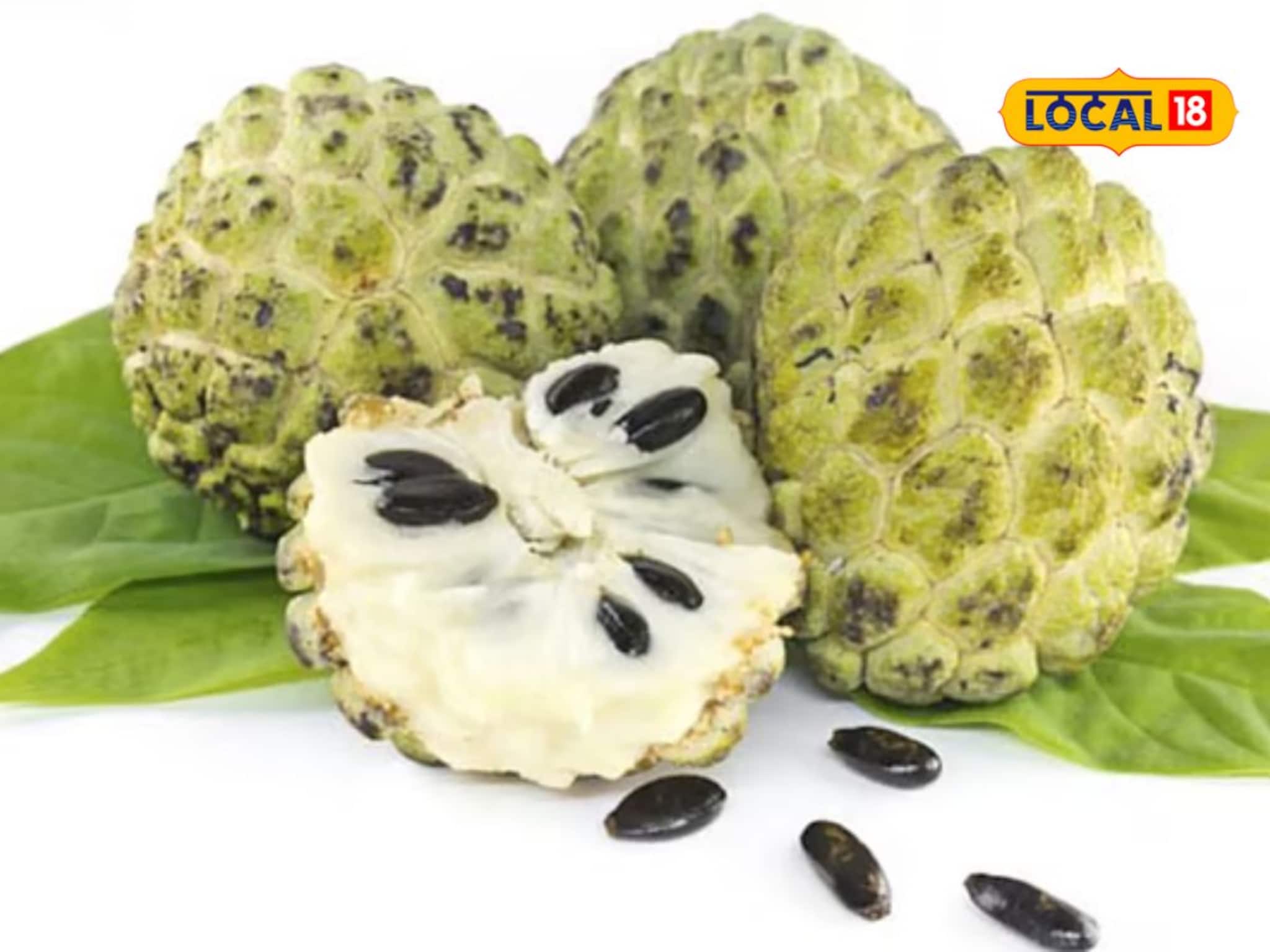 Health Tips : सीताफळ आले बाजारात, फायदे ऐकाल तर लगेच घ्याल विकत! Video