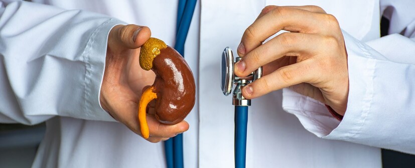 पाण्याचे योग्य प्रमाण: किडनीचे कार्य व्यवस्थित चालू ठेवण्यासाठी शरीरात पाण्याची कमतरता होऊ नये. पुरेसे पाणी पिणे अत्यंत महत्त्वाचे आहे, ज्यामुळे किडनीला फिल्टरेशन प्रक्रिया योग्य प्रकारे करता येते.