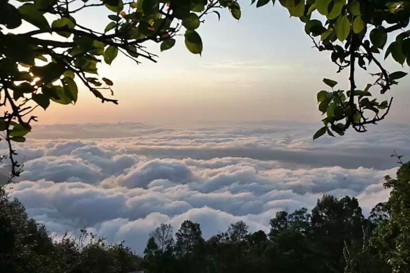 तामिळनाडूतील वट्टकनाल हे अव्वल स्थानावर आहे. कोडाईकनालजवळील वट्टकनाल हे पर्वतांमध्ये वसलेले एक लहान पण नयनरम्य हिल स्टेशन आहे. येथील दऱ्या, वळणदार पायवाटा आणि ढगांनी झाकलेले पर्वत आरामदायी अनुभव देतात. लहान कॅफे आणि शांत वातावरण हे ठिकाण गर्दीपासून दूर खरोखरच एक अद्वितीय अनुभव बनवते.