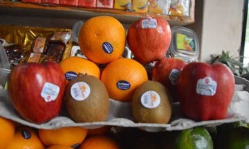 फळांवर का लावतात स्टिकर? कोड आणि हेल्थमध्ये असत कनेक्शन, 99% लोकांना माहिती नाही