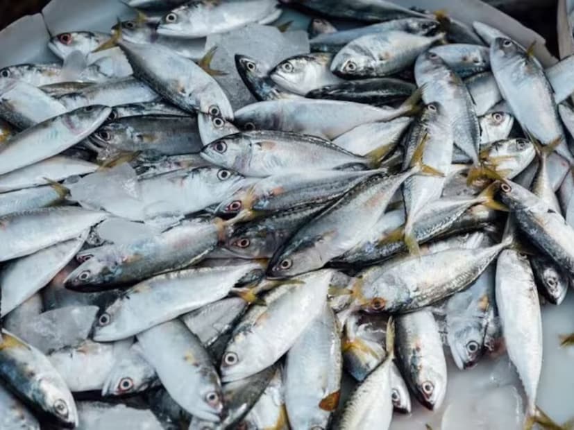 टिलापिया हा असाच एक मासा आहे. टिलापियामध्ये हानिकारक पदार्थ आणि जास्त चरबी असते, ज्यामुळे कोलेस्टेरॉल आणि हृदयरोगाचा धोका वाढतो. त्यात डायब्युटीलीन नावाचे रसायन देखील जमा होते, ज्यामुळे दमा, लठ्ठपणा आणि ऍलर्जीसारख्या समस्या उद्भवू शकतात. शिवाय, त्यात डायऑक्सिन नावाचा विषारी पदार्थ देखील असतो, ज्यामुळे कर्करोगाचा धोका वाढू शकतो.