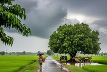 Rain Update: दिवाळीनंतरही राज्यात पाऊस! आजपासून स्वात्यर्क आणि वाहन बेडूक निघाल्यानं पुन्हा संकट...