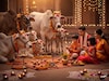 घरातील मुलांचे आयुष्य वाढतं..! गोवत्स द्वादशी-वसुबारस सणाचे धार्मिक महत्त्व काय?