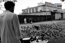 गावात शेण गोळा करुन भरायचा पोट, आता करोडपती; 7 स्टार हॉटेलमध्ये करतो पार्ट्या