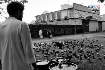 गावात शेण गोळा करुन भरायचा पोट, आता करोडपती; 7 स्टार हॉटेलमध्ये करतो पार्ट्या