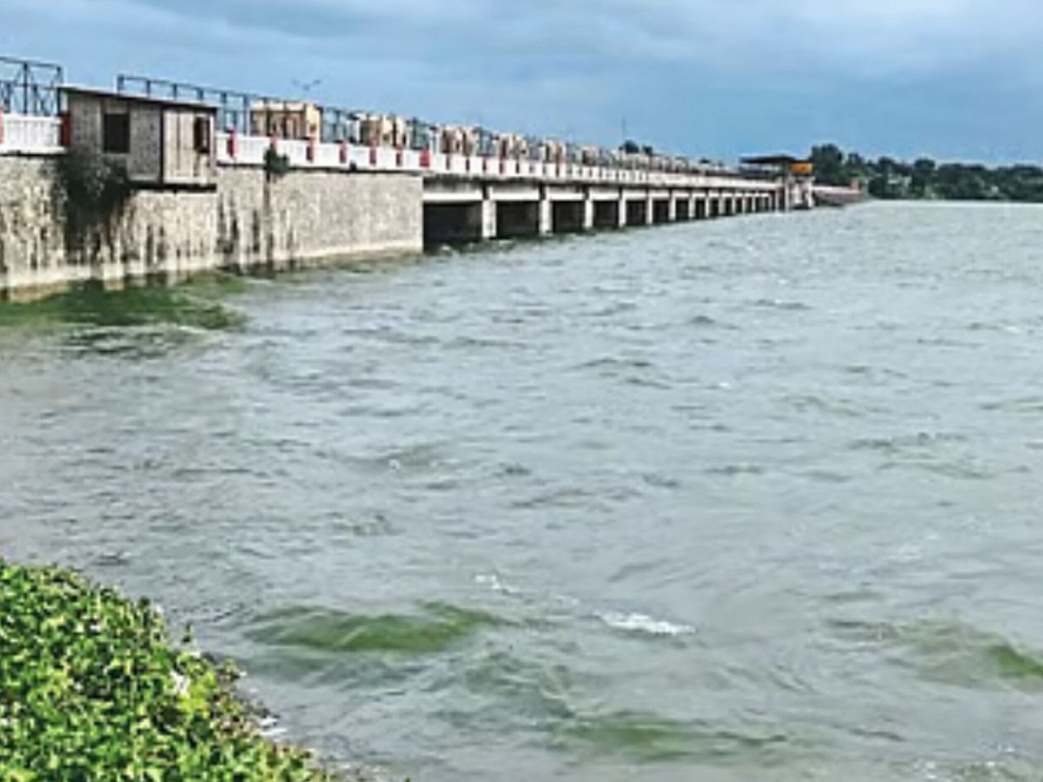 देवीच्या विसर्जनाला तलावात उतरला,अचानक तोल गेला अन्...जळगावमध्ये तरूणासोबत भयानक