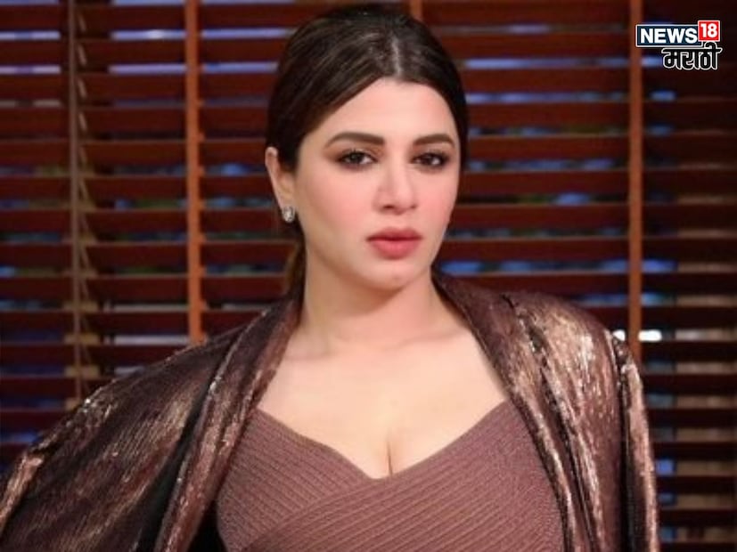 कायनातने 12 वर्षांचं करिअर केलं पण तिला दिव्या इतकी प्रसिद्धी मिळाली नाही. तिने साऊथ आणि पंजाबी सिनेमातही काम केलं. 