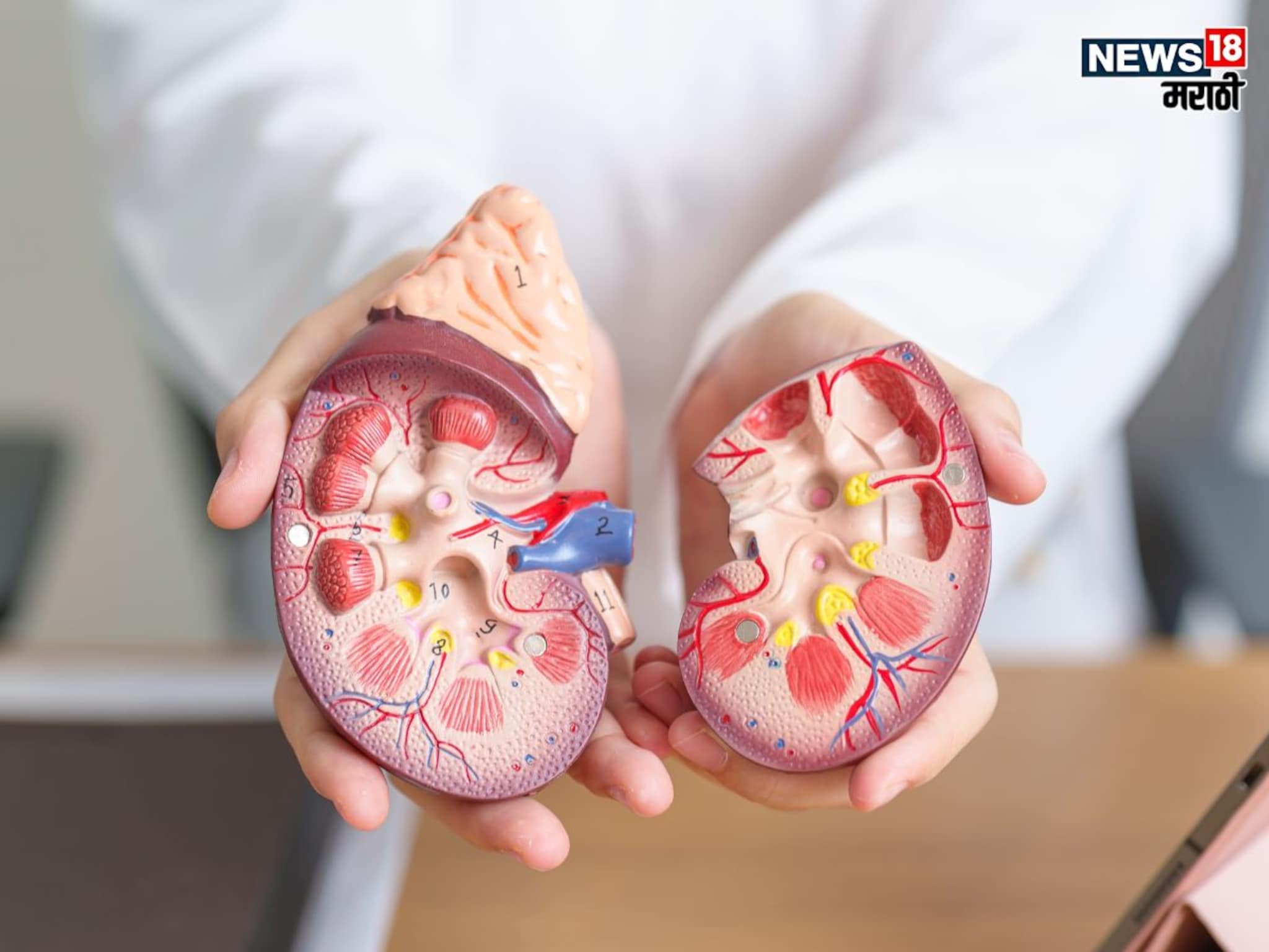 Kidney Health : रोजच्या जेवणातील 'हा' पदार्थ करू शकतो किडनी फेल, तुम्हीही खात नाही ना सफेद विष?