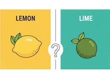 Lemon vs Lime : लिंबू आणि लेमनमध्ये फरक काय? तुम्ही देखील दोघांना एकच समजण्याची चूक करत असाल तर आधी हे वाचा