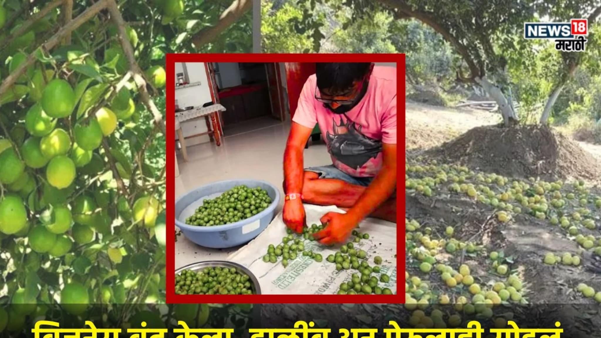 Success Story: नोकरीतून मिळणार नाही एवढं लिंबानं दिलं, लेमन किंग कमवतोय सॉफ्टवेअर इंजिनियरपेक्षा जास्त