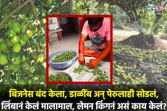 नोकरीतून मिळणार नाही एवढं लिंबानं दिलं, लेमन किंग करतोय लाखोंची कमाई