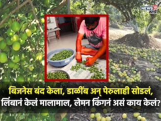 नोकरीतून मिळणार नाही एवढं लिंबानं दिलं, लेमन किंग करतोय लाखोंची कमाई