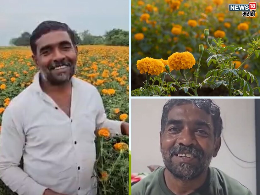 मध्य प्रदेशातील बैतूल जिल्ह्याच्या मुलताई तालुक्यातील सिरसावाडी गावातील शेतकरी काशीनाथ खाडे यांची यशोगाथा सध्या इतर शेतकऱ्यांसाठी नवी दिशा देणारी ठरू शकते. काशीनाथ यांनी सोयाबीन आणि मक्यासारख्या पारंपरिक पिकांची शेती सोडून आपल्या एका एकर जमिनीत आफ्रिकन झेंडूच्या फुलांची (African Marigold) लागवड केली. 