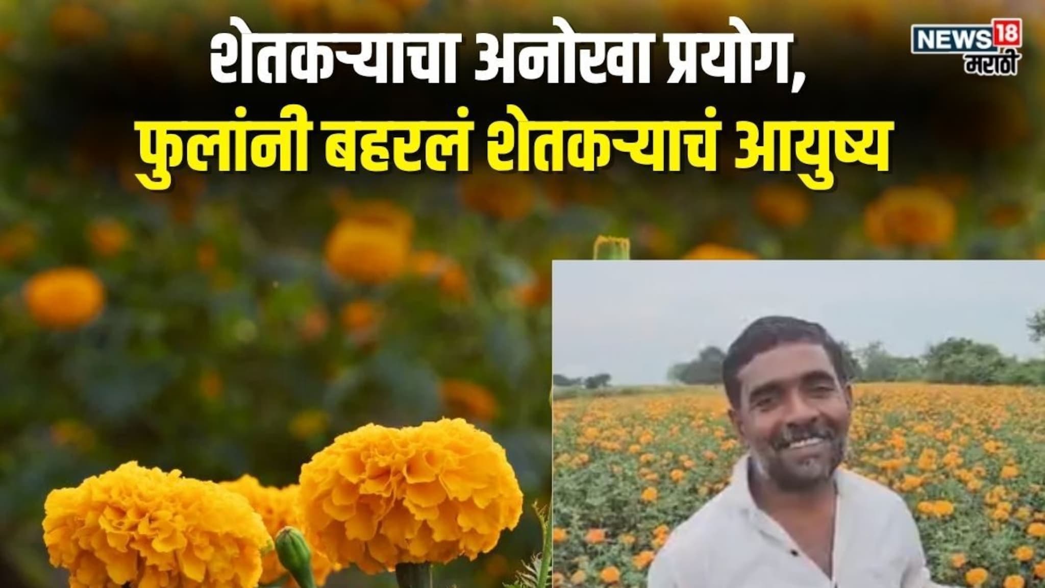 Success Story:फक्त 10,000 टाकले अन् तब्बल 1 लाख मिळाले, फुलांनी बहरलं शेतकऱ्याचं आयुष्य