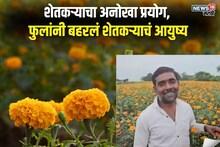 फक्त 10,000 टाकले अन् तब्बल 1 लाख मिळाले, फुलांनी बहरलं शेतकऱ्याचं आयुष्य