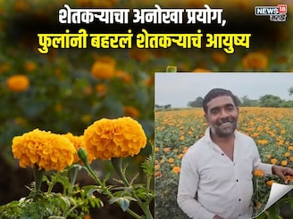 मका, गहू आणि सोयाबीन सोडून फक्त फुलं लावली, एका एकरातून शेतकरी मालामाल